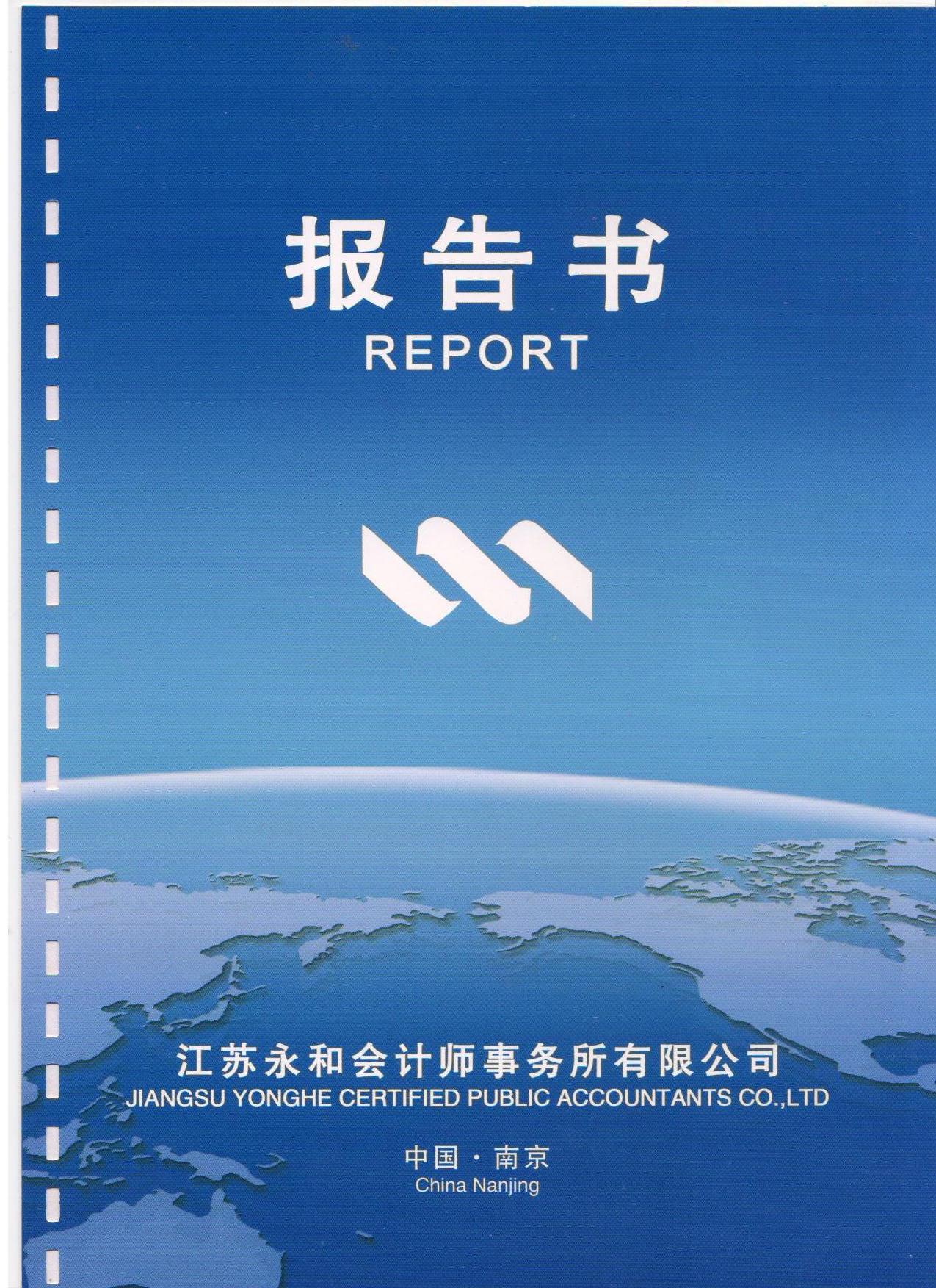 2013年审计报告